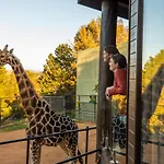 Jamala Wildlife Lodge